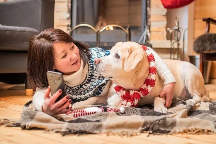3 Fun and creative enrichment activities to keep your pet stimulated - Shaggy Chic