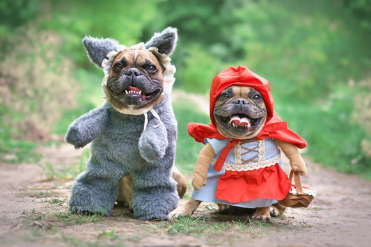Halloween Dog Safety Tips and - Best Pet Costumes - Shaggy Chic