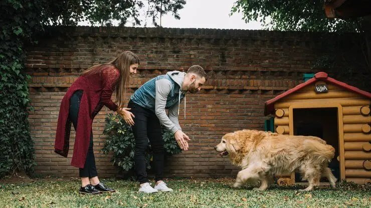 How Do Dogs and People Care for Each Other? - Shaggy Chic