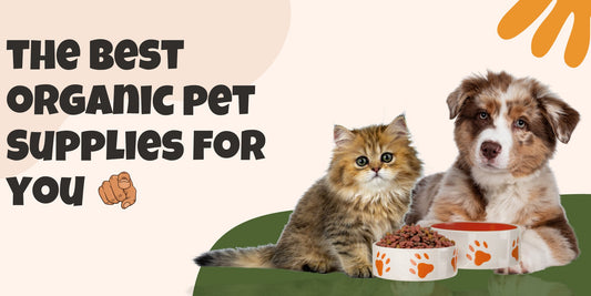 The Benefits of Organic and Natural Pet Supplies - Shaggy Chic