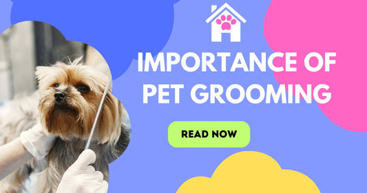 The Importance of Proper Grooming Supplies for Your Pet's Health and Well-being - Shaggy Chic