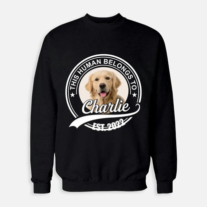 This Human Belongs to - Personalised Pet Sweatshirt - Shaggy Chic