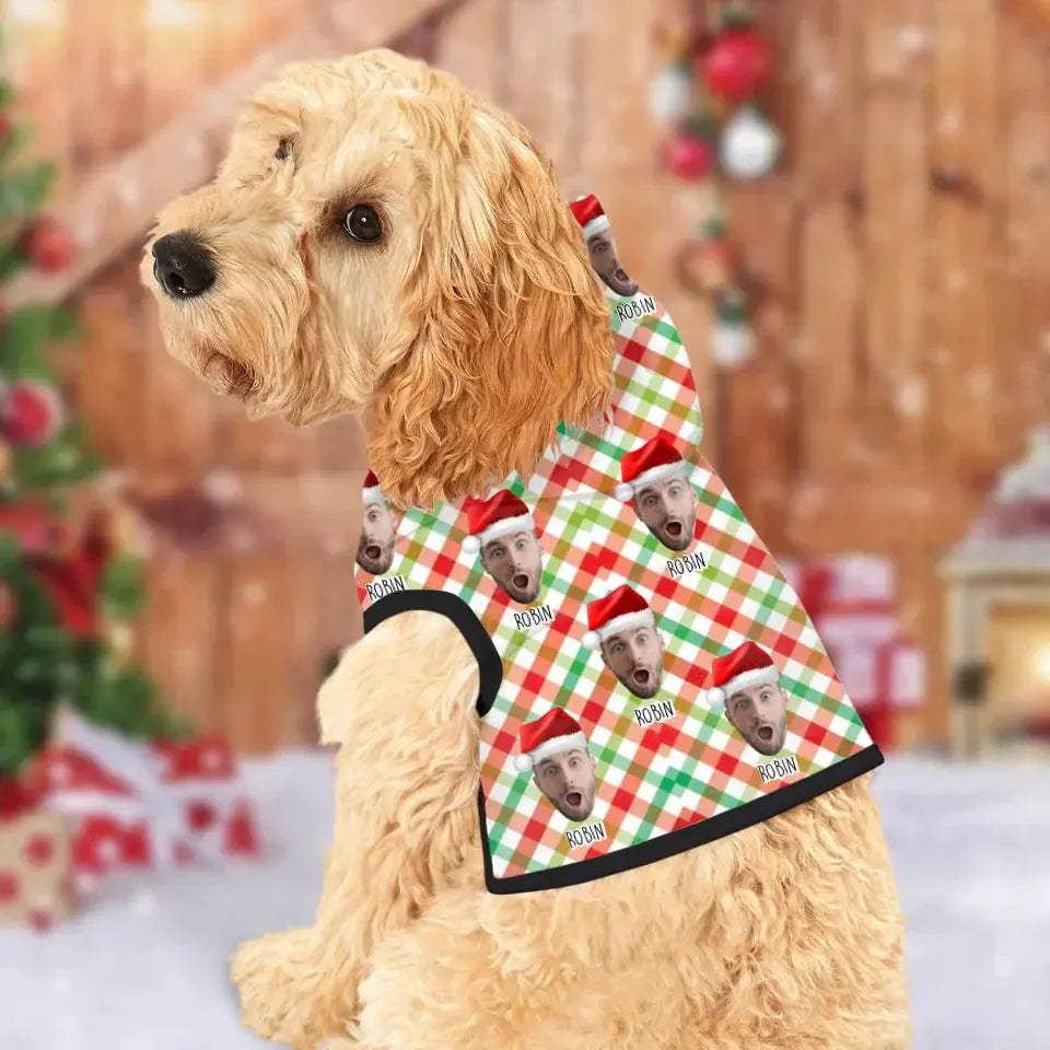Dog Hoodie Black Rib