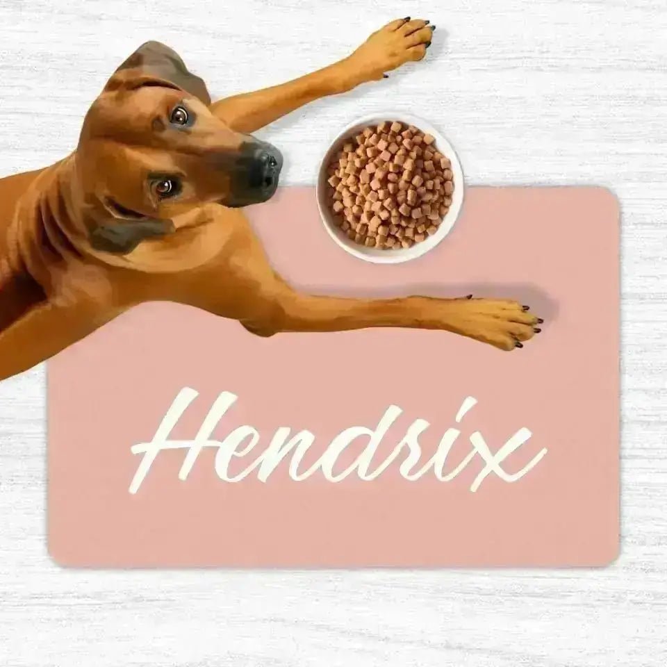 Custom Personalised Name Pet Food Mats - Shaggy Chic