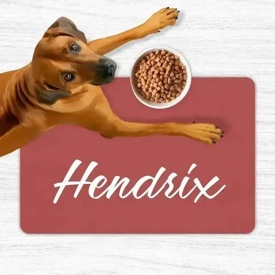 Custom Personalised Name Pet Food Mats - Shaggy Chic
