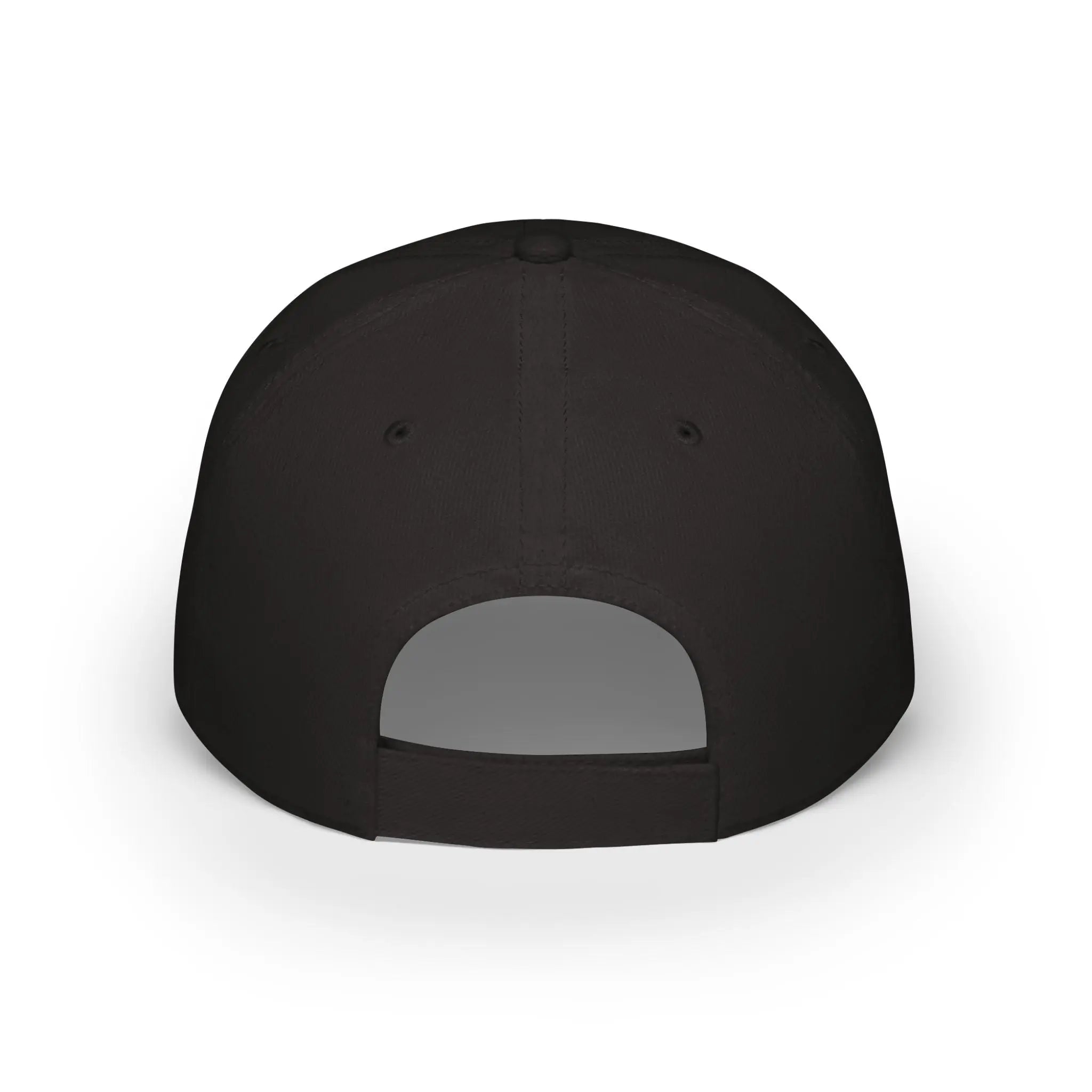 Low Profile Baseball Cap - Shaggy Chic