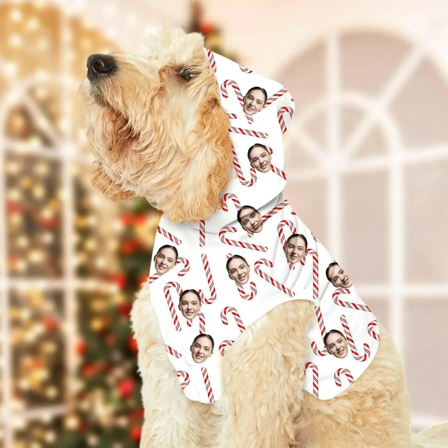 Personalized Photo Pet Hoodie - Custom Cat / Dog Hoodie for Pet - Shaggy Chic