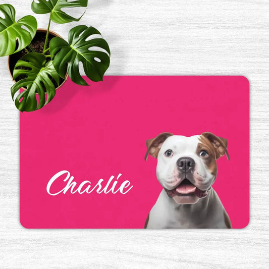 Custom Personalised Pet Photo and Name Food Mats - Shaggy Chic