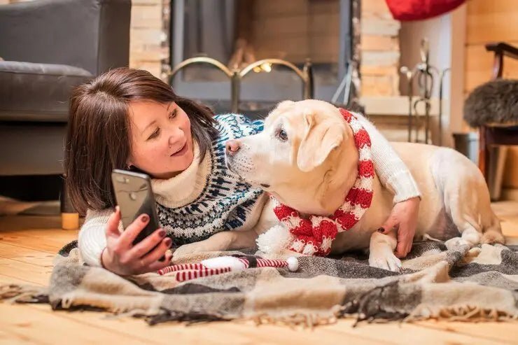 3 Fun and creative enrichment activities - Shaggy Chic