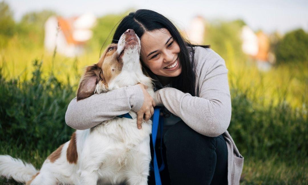 How Dogs Fall in Love: Why Some People Become “Their Person” - Shaggy Chic
