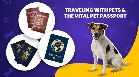 Traveling with Pets & The Vital Pet Passport - Shaggy Chic