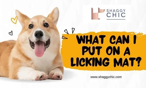 What Can I Put - Shaggy Chic