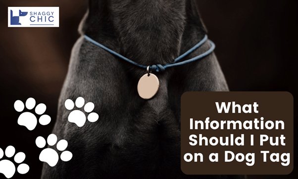 What Information Should I Put on a Dog Tag? Must-Know Details for a Quick Reunion - Shaggy Chic