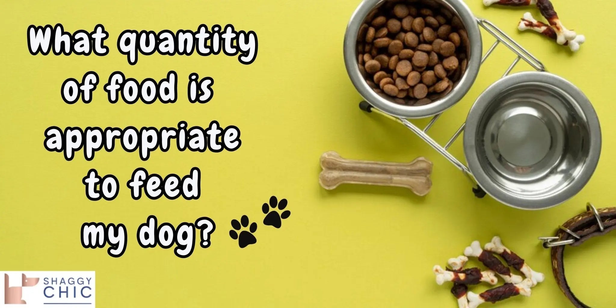 What quantity of food is appropriate to feed my dog? - Shaggy Chic