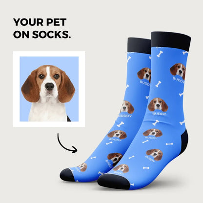 Custom Personalised Pet Socks