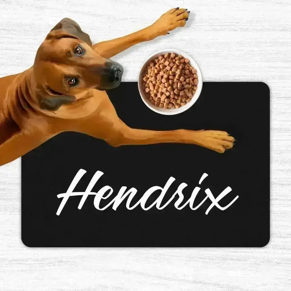 Custom Personalised Name Pet Food Mats - Shaggy Chic