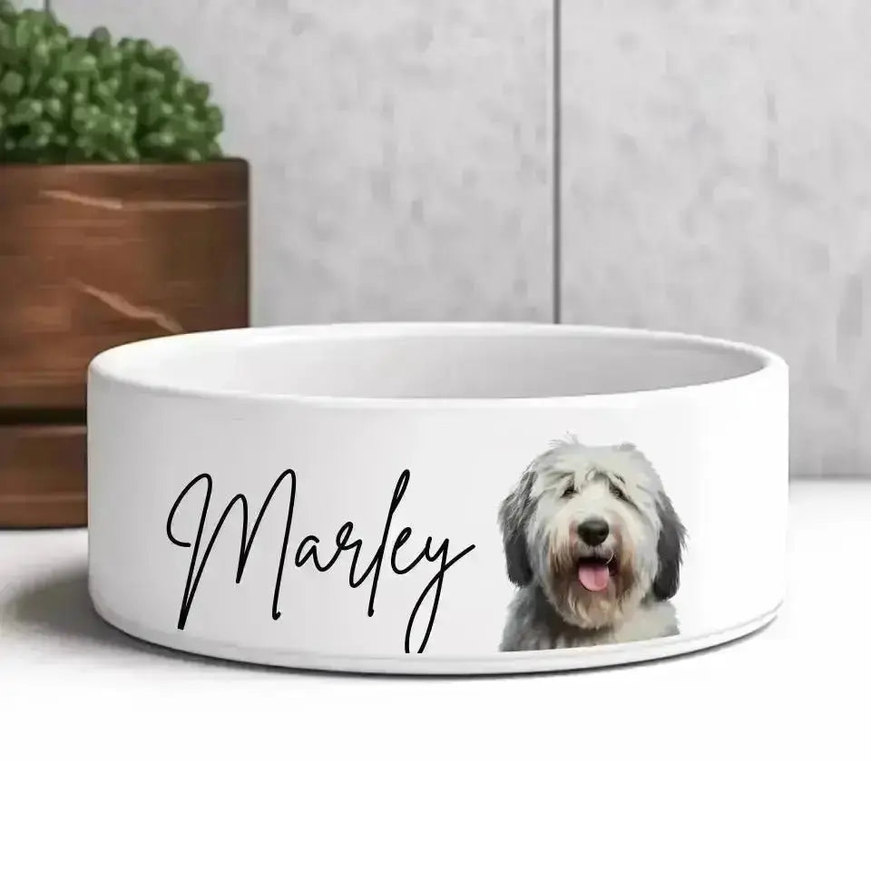 Custom Personalised Pet Photo and Name Bowl - Shaggy Chic