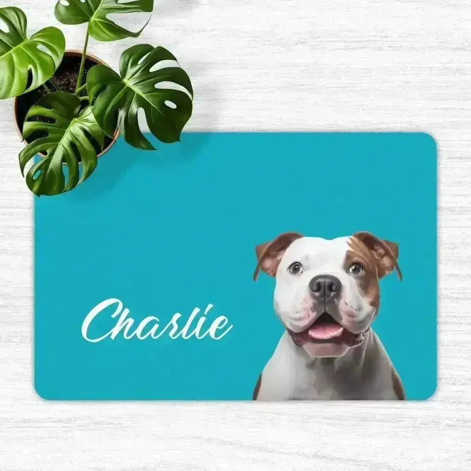 Custom Personalised Pet Photo and Name Food Mats - Shaggy Chic