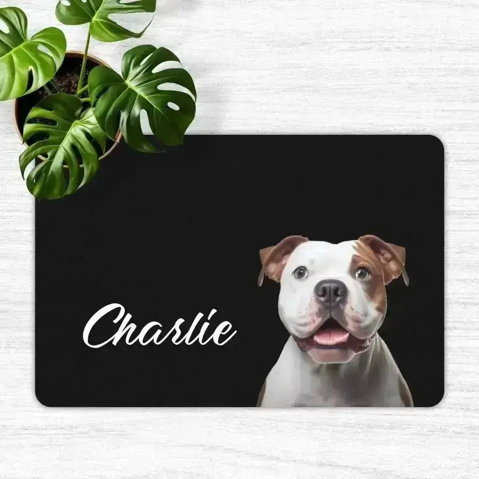 Custom Personalised Pet Photo and Name Food Mats - Shaggy Chic