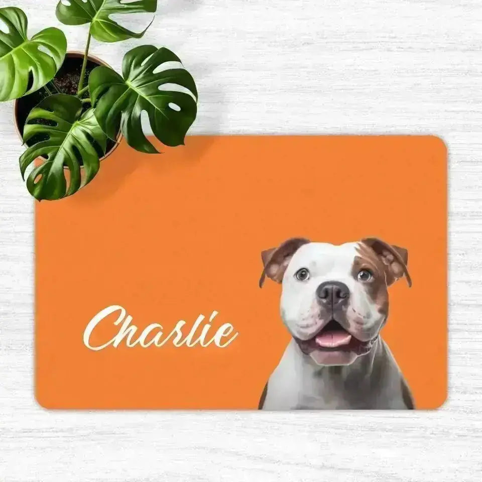 Custom Personalised Pet Photo and Name Food Mats - Shaggy Chic