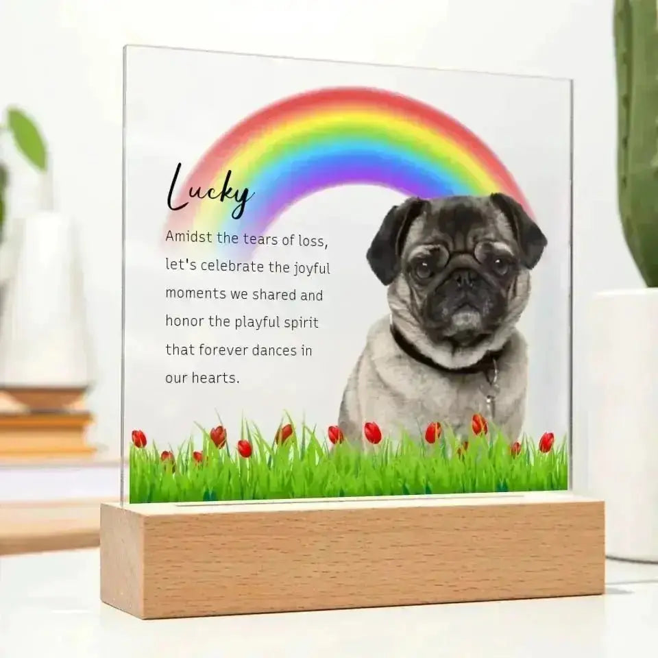 Custom Pet Photo Memorial Gift - Acrylic Square Plaque - Shaggy Chic