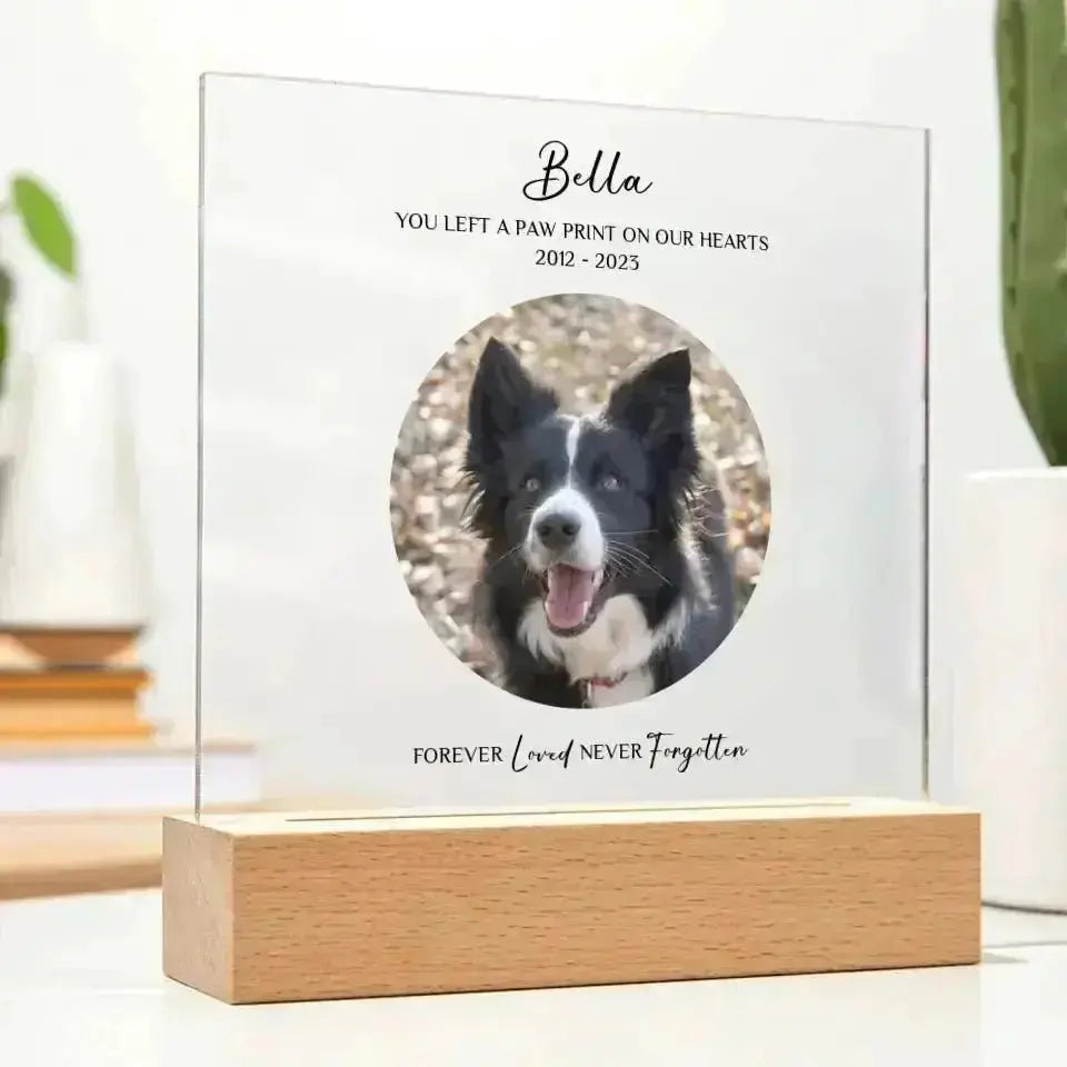 Custom Pet Photo Memorial Gift - Acrylic Square Plaque - Shaggy Chic