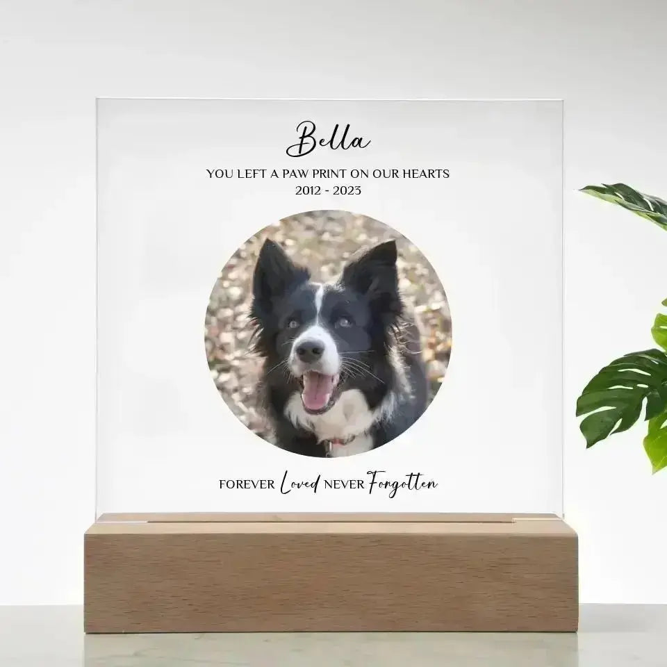 Custom Pet Photo Memorial Gift - Acrylic Square Plaque - Shaggy Chic