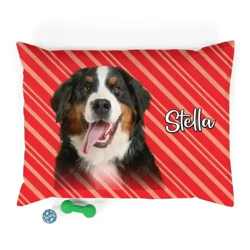 Personalized Dog Photo Bed - Shaggy Chic