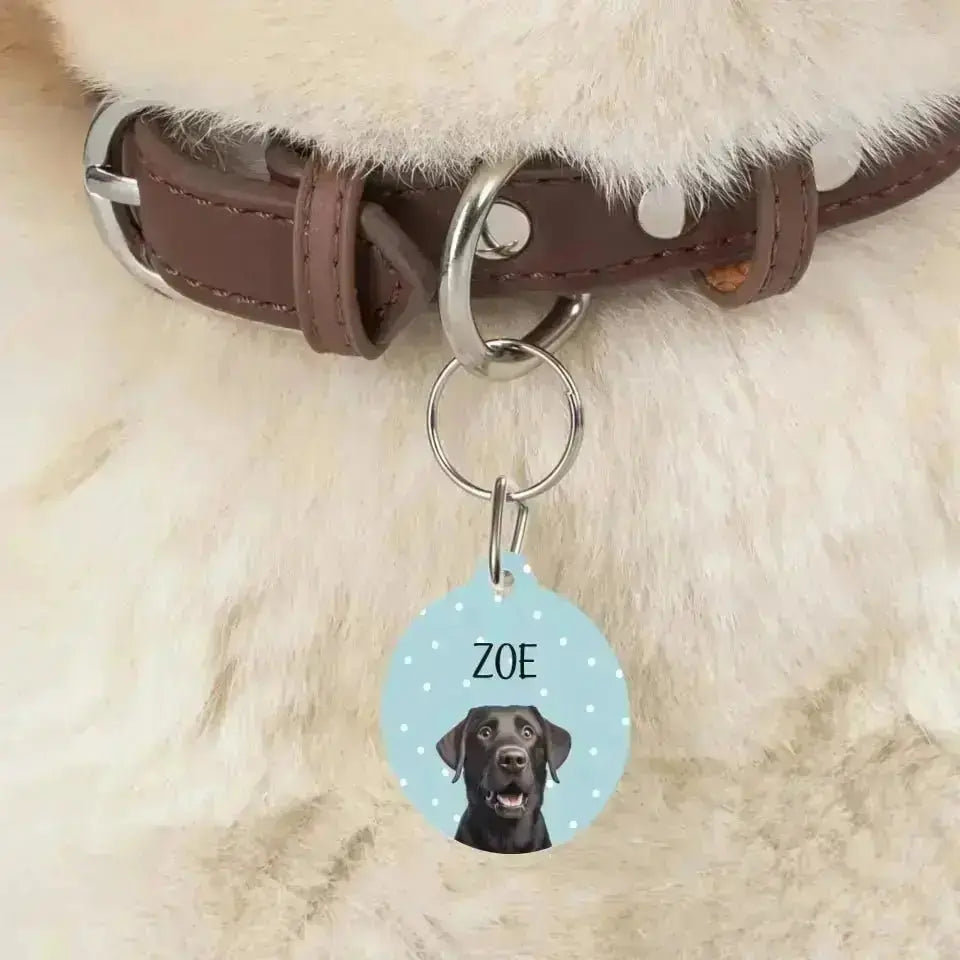 Personalized Pet Photo and Details Tags - Tags for Pet Collars - Shaggy Chic