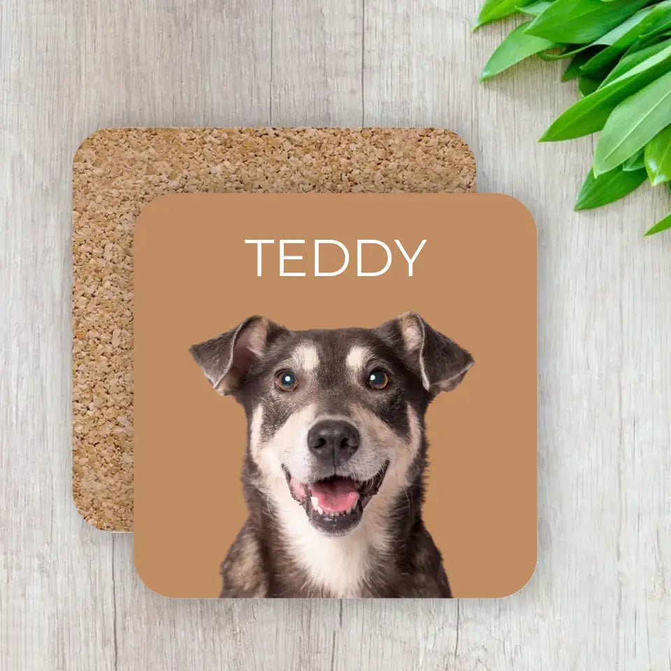 Customized Pet Photo Coasters at Best Price - Top Pet Supplies in US