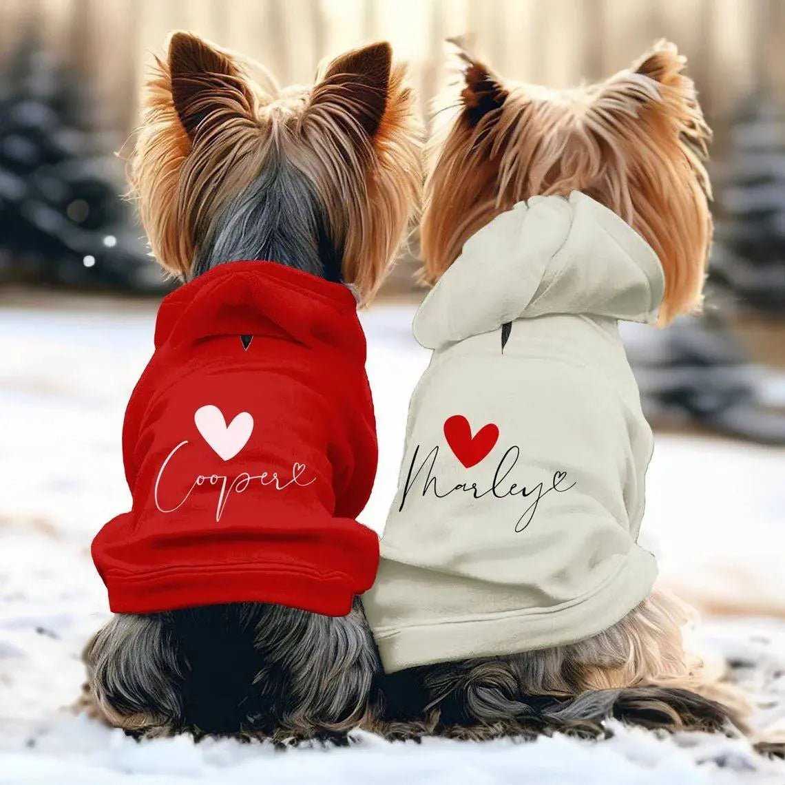 Custom Personalized Dog Hoodie - Monogrammed Name Pet Apparel - Shaggy Chic