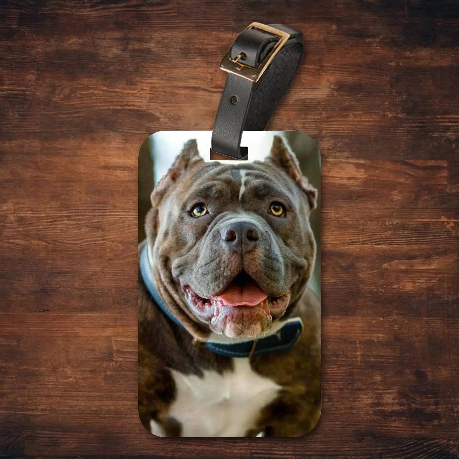 Custom Personalized Pet Photo Luggage Tags - Shaggy Chic