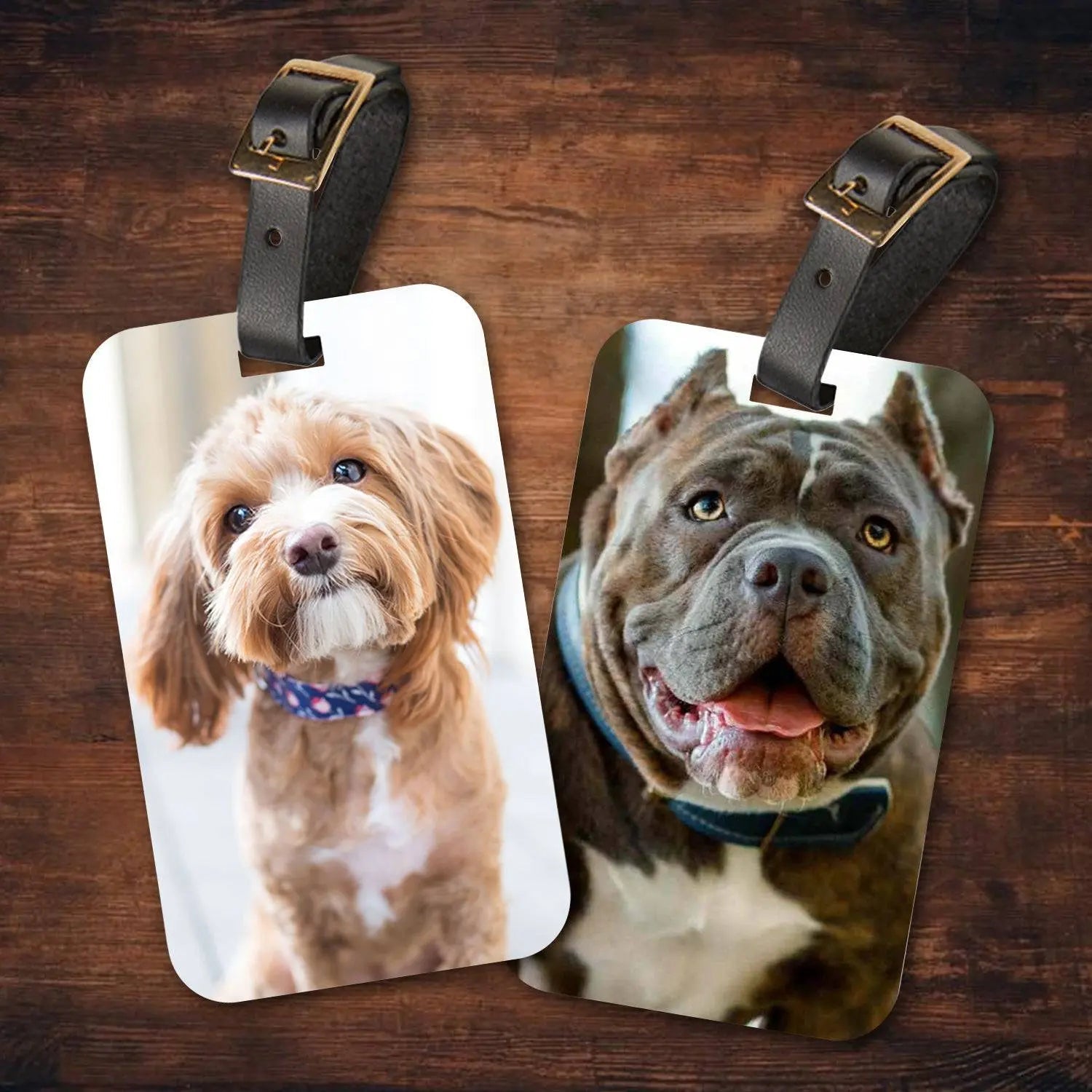 Custom Personalized Pet Photo Luggage Tags - Shaggy Chic
