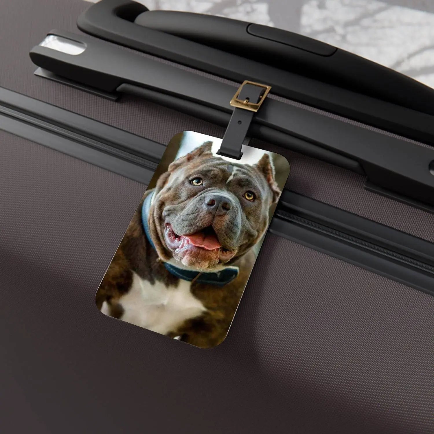Custom Personalized Pet Photo Luggage Tags - Shaggy Chic