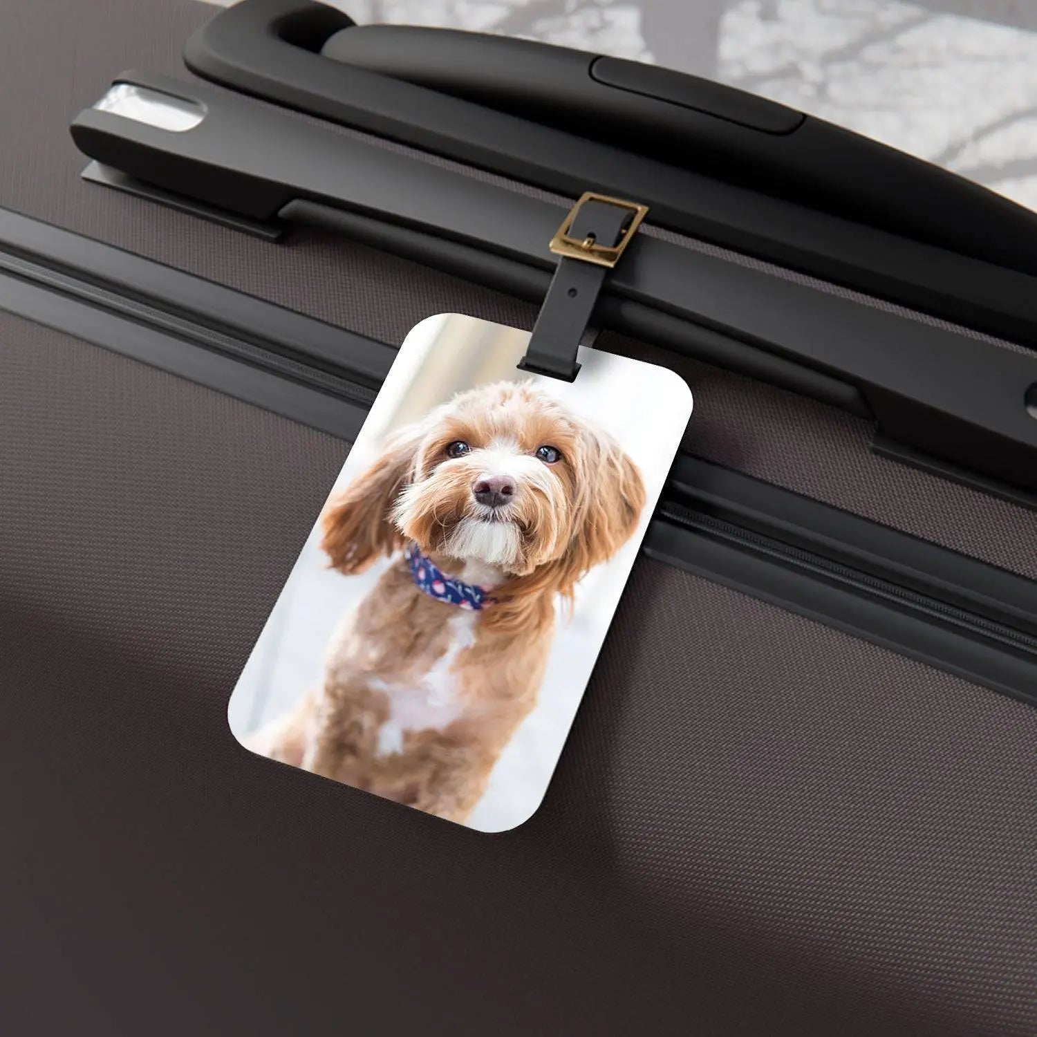 Custom Personalized Pet Photo Luggage Tags - Shaggy Chic