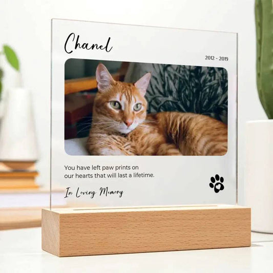 Custom Pet Photo Memorial Gift - Acrylic Square Plaque - Shaggy Chic