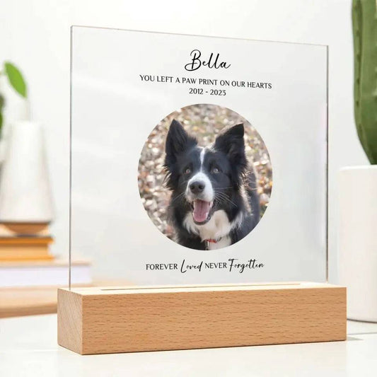 Custom Pet Photo Memorial Gift - Acrylic Square Plaque - Shaggy Chic