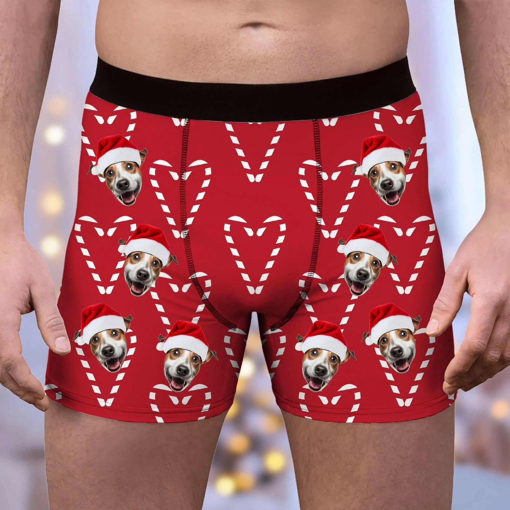 Custom Photo Boxer Briefs for Men - Personalized Underwear with Your Pet on Them ! - Shaggy Chic