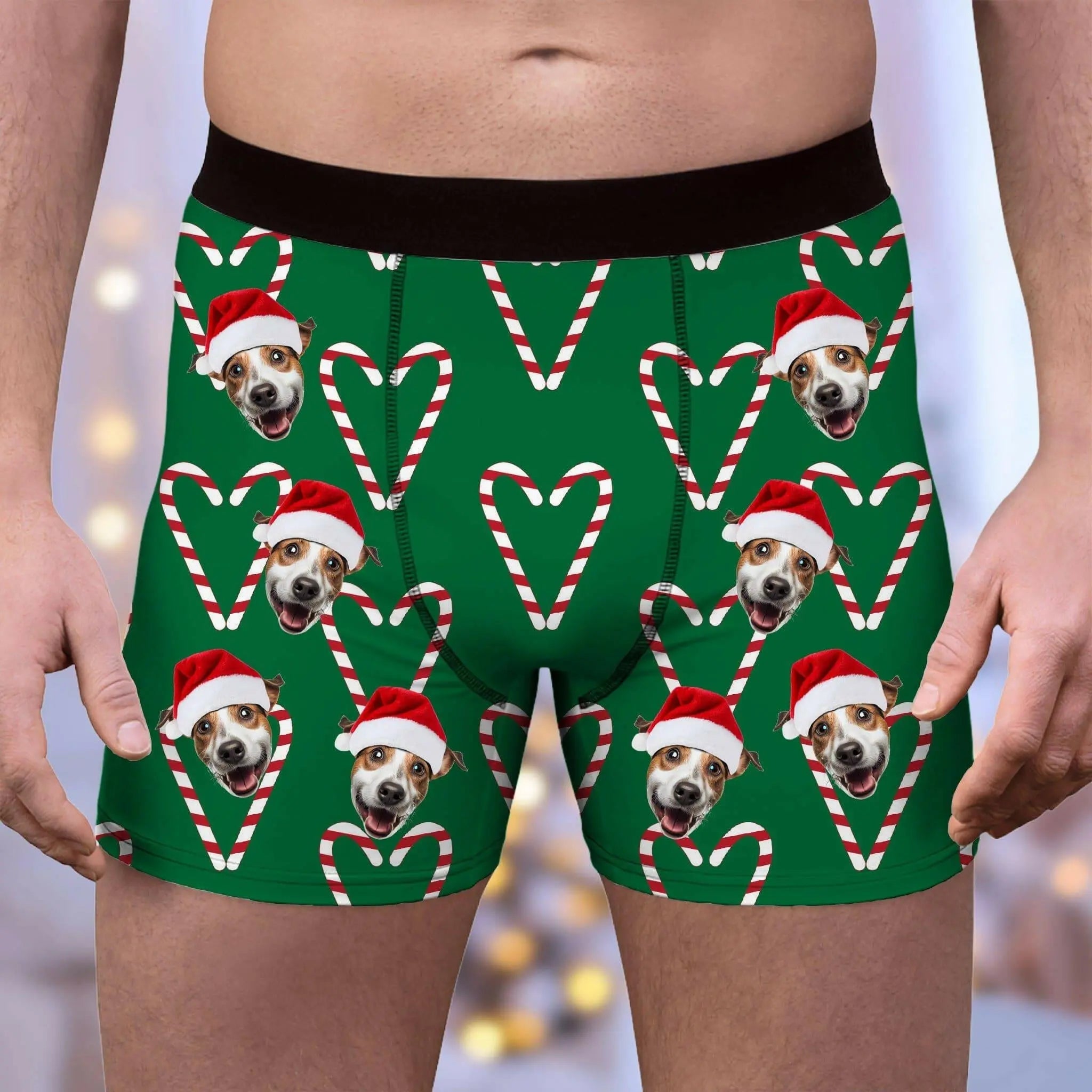 Custom Photo Boxer Briefs for Men - Personalized Underwear with Your Pet on Them ! - Shaggy Chic