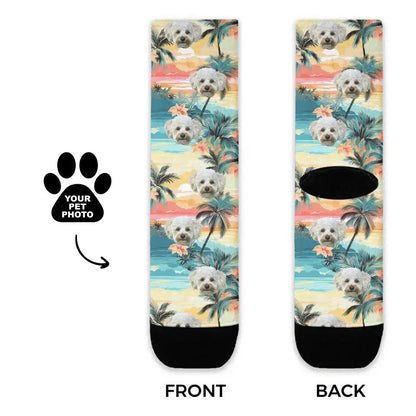 Customized Beach Pattern Pet Socks - Best Selling Pet Supplies in US - Shaggy Chic