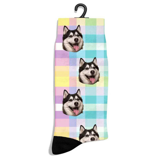 Personalized Check Pattern Pet Socks - Shaggy Chic