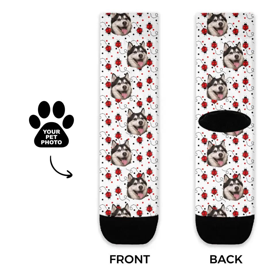 Personalized Ladybug Pattern Pet Socks - Shaggy Chic