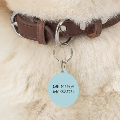 Personalized Pet Photo and Details Tags - Tags for Pet Collars - Shaggy Chic