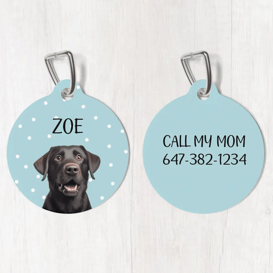 Personalized Pet Photo and Details Tags - Tags for Pet Collars - Shaggy Chic