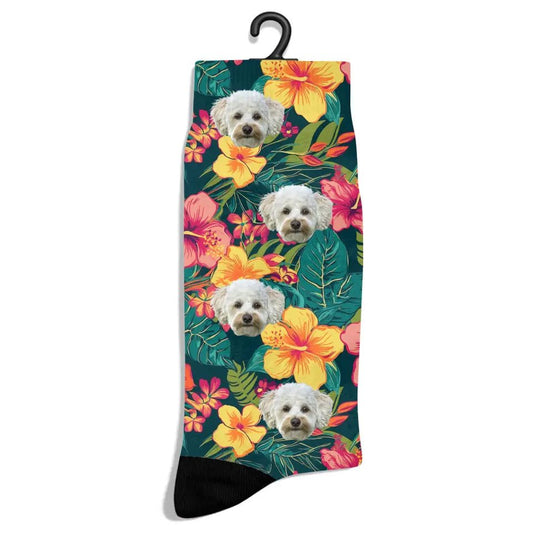 Personalized Tropical Pattern Pet Socks at Best Price in USA - Shaggy Chic