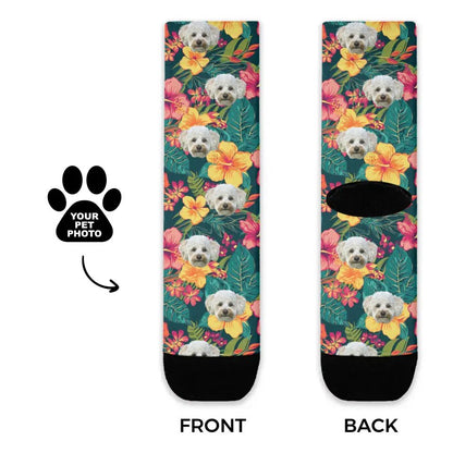Personalized Tropical Pattern Pet Socks at Best Price in USA - Shaggy Chic