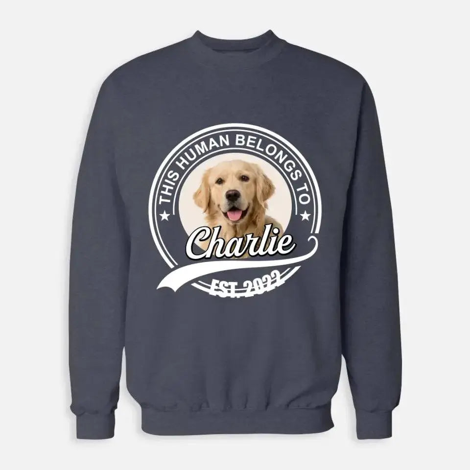 This Human Belongs to - Personalized Pet Sweatshirt - Shaggy Chic