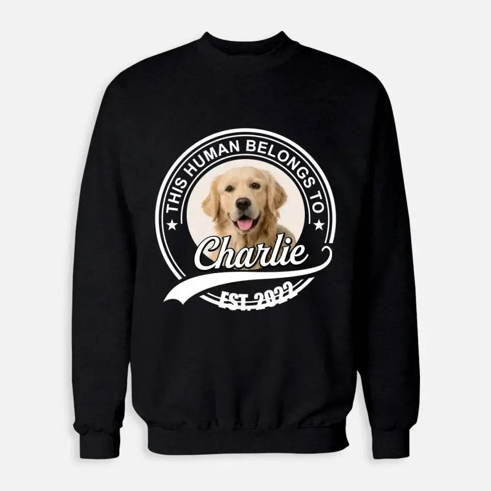 This Human Belongs to - Personalized Pet Sweatshirt - Shaggy Chic