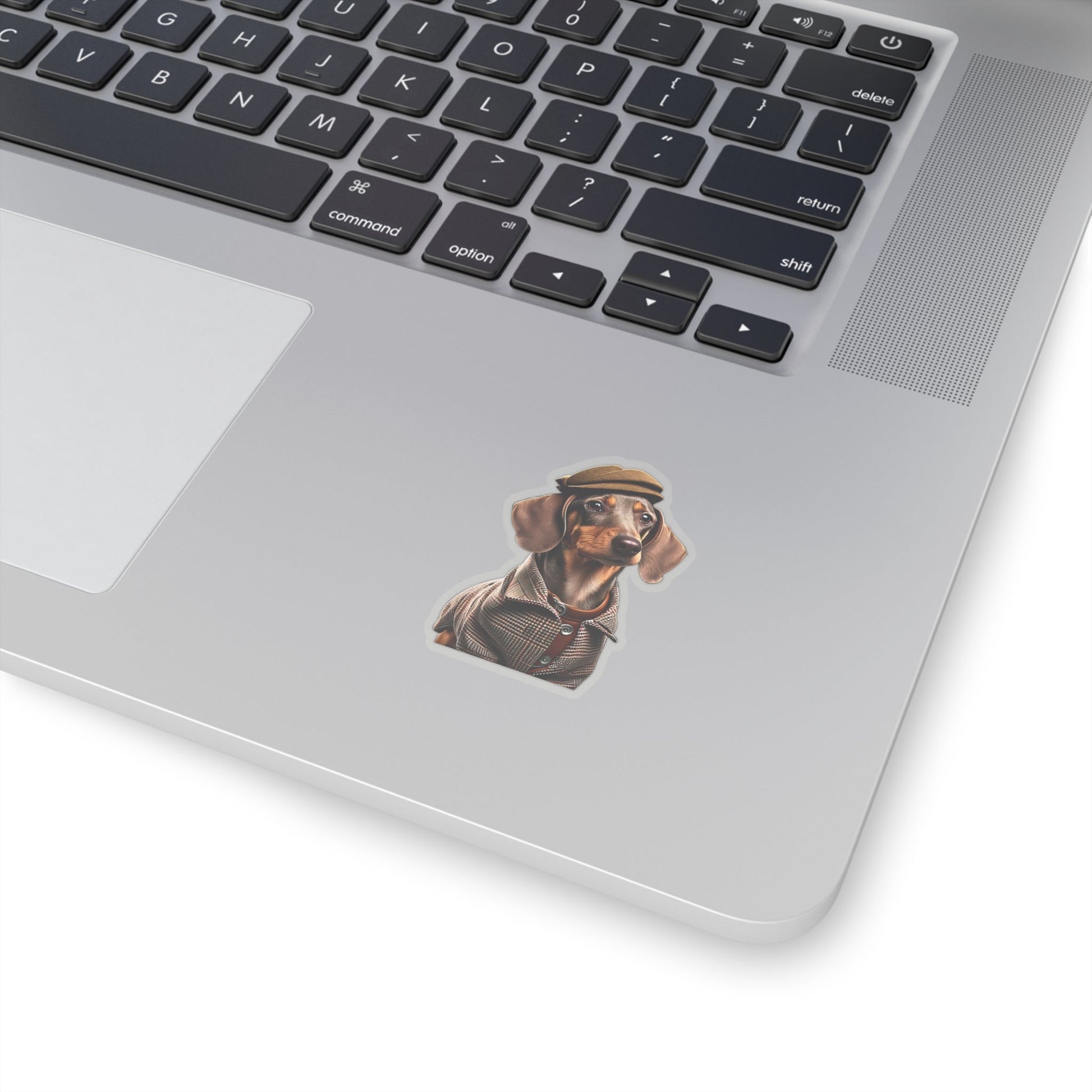 DONNY : Kiss-Cut Stickers - Shaggy Chic