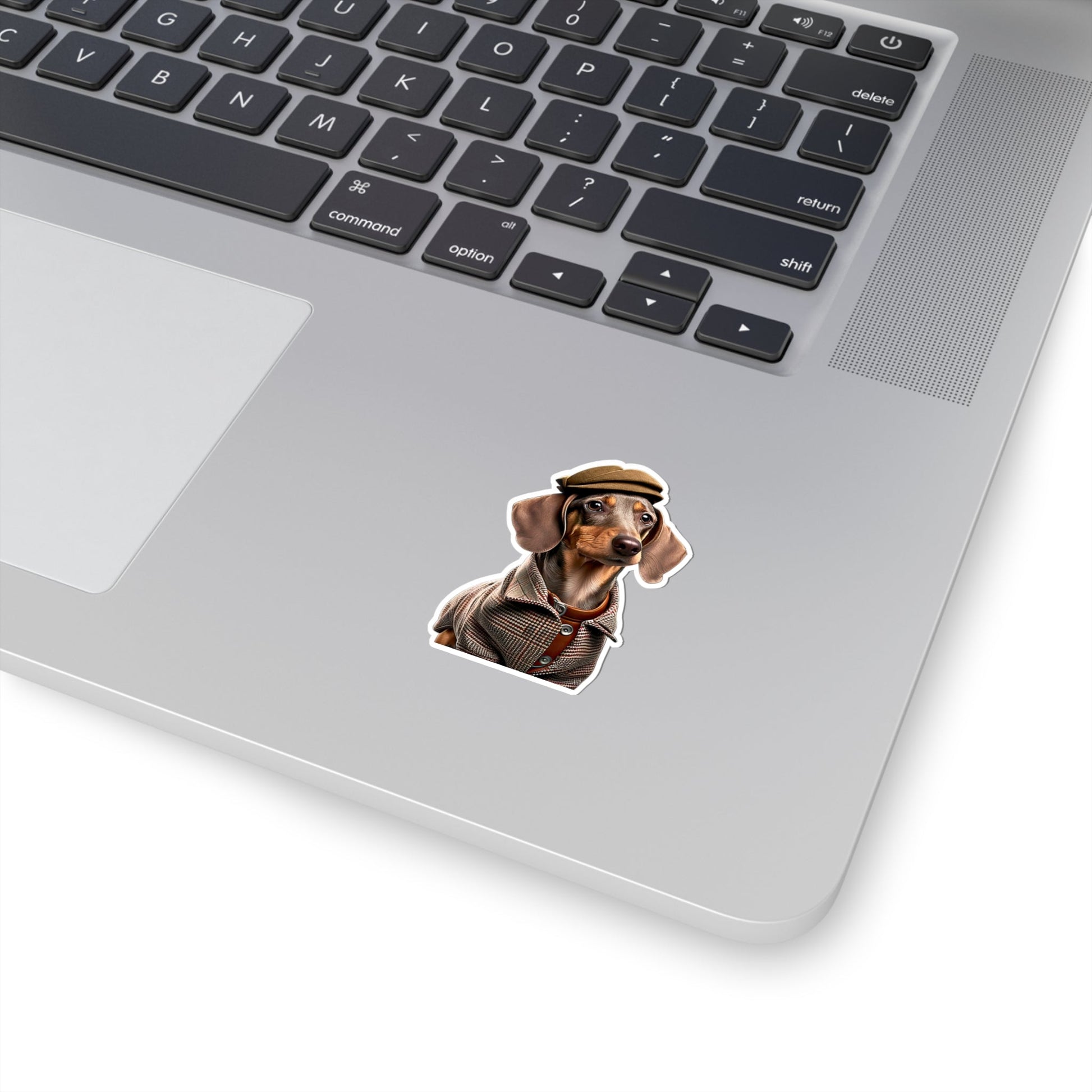 DONNY : Kiss-Cut Stickers - Shaggy Chic